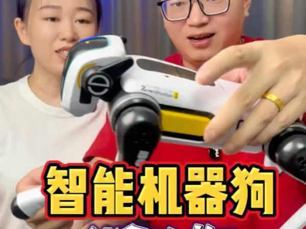 百十来块的机器狗真的就能帮咱们拿快递吗？#亲测分享 #机器狗 #创意玩具 #机器狗玩具 #智能机器狗