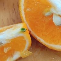 纯甜不酸广西武鸣沃柑，不吃酸的我最爱这口