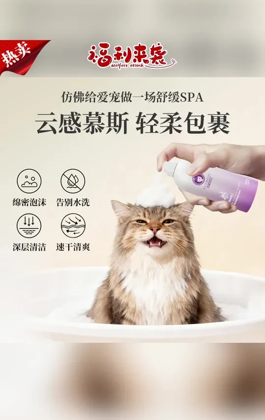 慕斯推荐#慕斯 #宠物慕斯 #泡泡慕斯 #宠物免洗慕斯 #留香慕斯  宠物秋冬好物】雪貂留香宠物免洗泡泡慕斯狗狗洗澡猫咪清洁用品