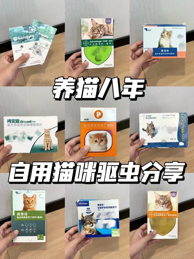 养猫八年，自用猫咪驱虫药分享！