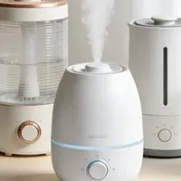 2026年度盘点：附上热销加湿器品牌十大排名，看完就知哪个牌子好