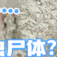 床上用的除螨仪到底有没有用？2026揭秘热销除螨仪排行榜前十名！