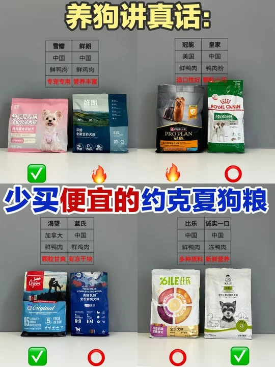 养宠讲真话:约克夏吃错粮 = 健康隐患