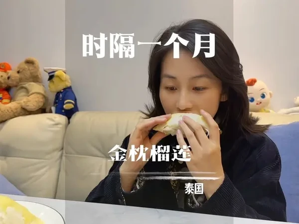 时隔一个月再开到金枕榴莲，吃榴莲，还得是金枕头榴莲！ #榴莲 #金枕榴莲 #泰国榴莲 #开榴莲 #小小宋开榴莲