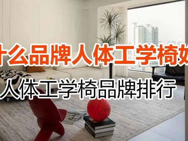 什么品牌的人体工学椅好？人体工学椅品牌排行