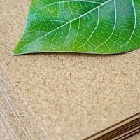 环保袋材料从帆布到再生塑料，谁在推动“绿色包袋”？127+用户观点全景呈现