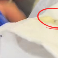 海飞丝洗发水中现虫子争议再发酵：是仓储问题还是品控漏洞？