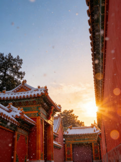 故宫游玩攻略：深度体验历史韵味