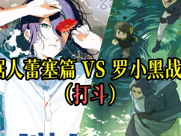 国产打斗天花板VS日产打斗天花板：蕾塞篇vs罗小黑战记2