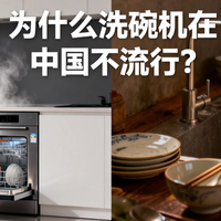 数码3C 篇零：为什么洗碗机在中国不流行？热销机型真实体验，打消你的所有顾虑
