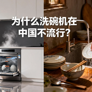 为什么洗碗机在中国不流行？热销机型真实体验，打消你的所有顾虑