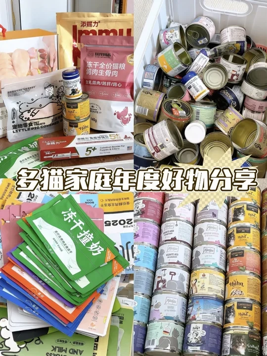 养猫人的年度好物总结｜2025回购清单📝