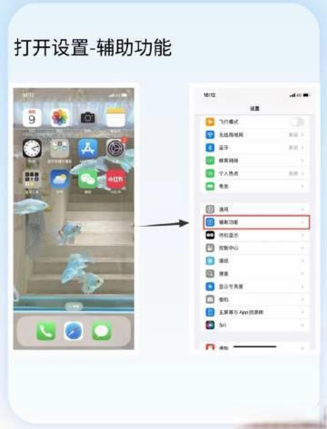 别只知道“小圆点”了，iPhone辅助功能里的这些隐藏神技太强大