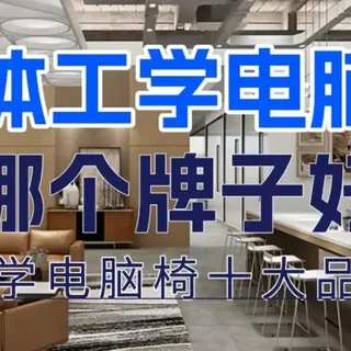 人体工学电脑椅哪个牌子比较好？人体工学电脑椅十大品牌推荐