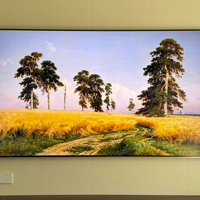 85英寸Mini LED电视选购指南