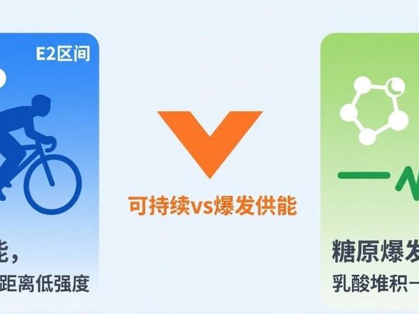 《公路车圣经：骑行训练完全手册》核心框架总结