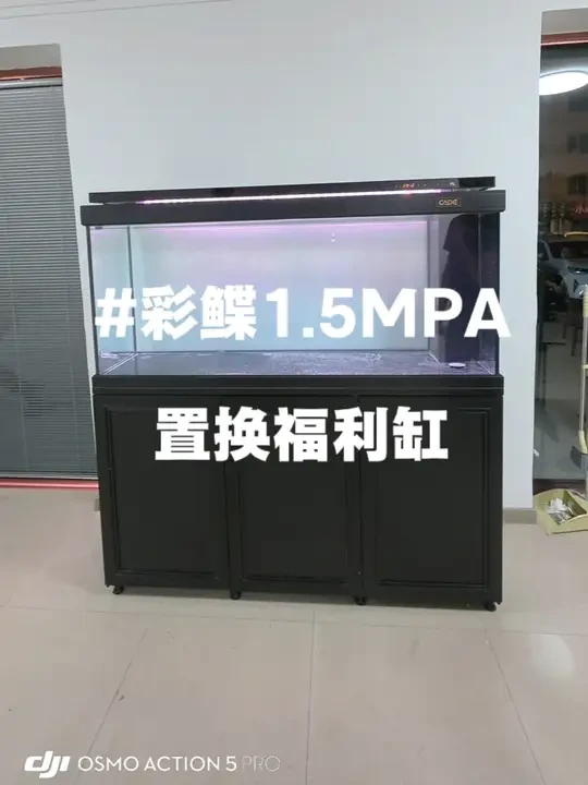 #鱼缸 #彩鲽鱼缸 福利置换缸