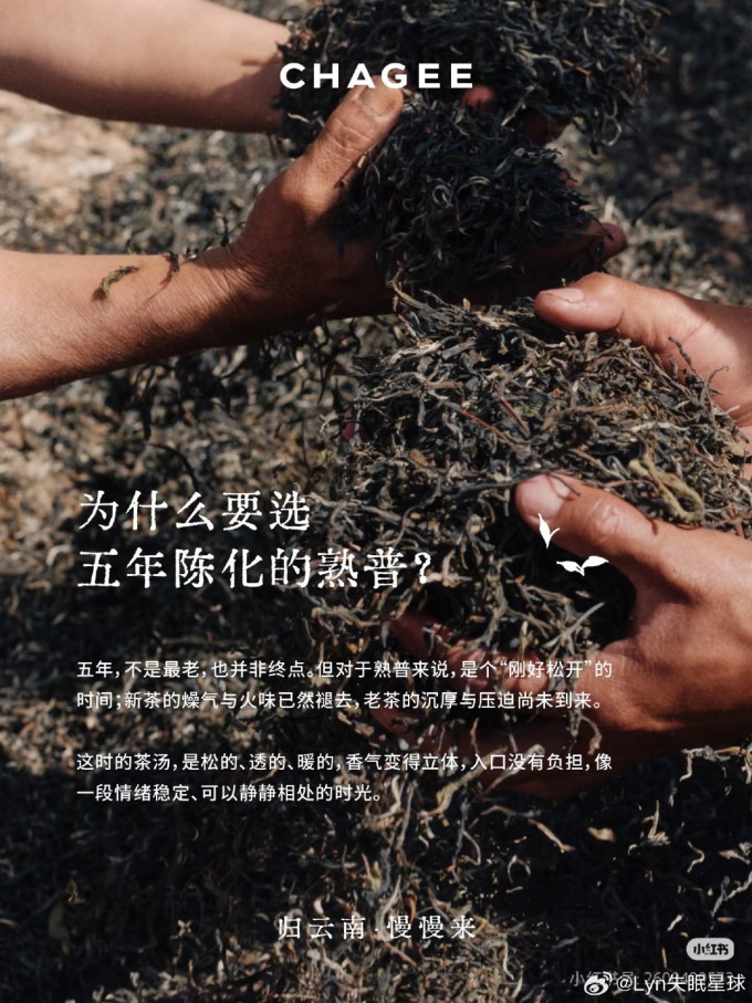 霸王茶姬茶类