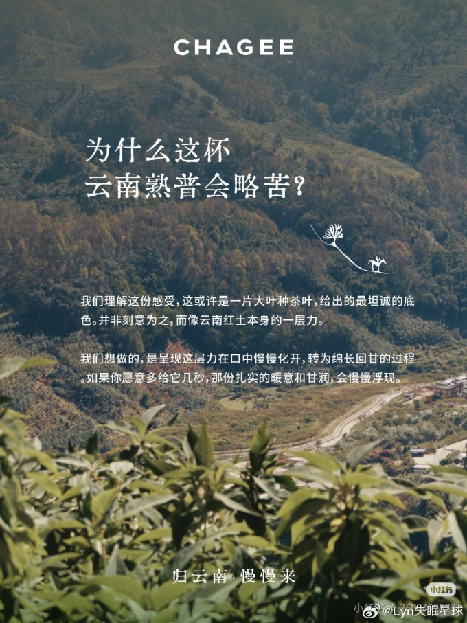 霸王茶姬茶类