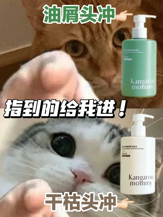 青春期洗发邪修！去屑柔顺用这俩就够了！