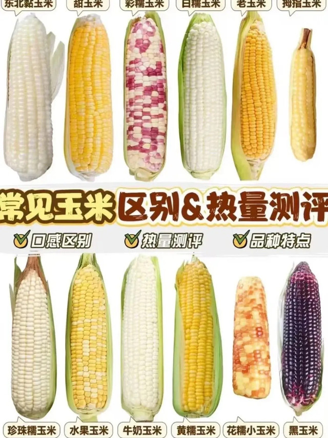 不同玉米种类的区别，热量测评