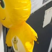 家门边的奶龙气球小惊喜