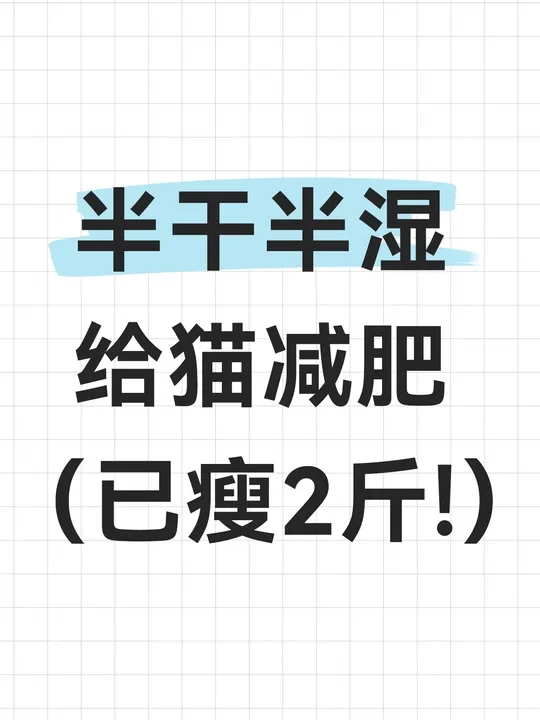 半干半湿给猫减肥 已瘦2斤 ( 随便问！