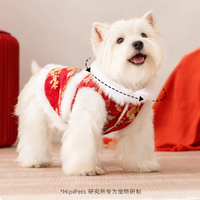 过年不光人要穿新衣，毛孩子也要红红火火迎新春！🐶🧧