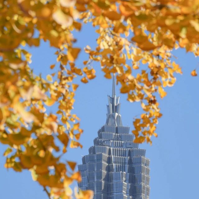 实拍丨用腾龙25-200mm F2.8-5.6 G2，解锁上海秋日的N种拍摄视角