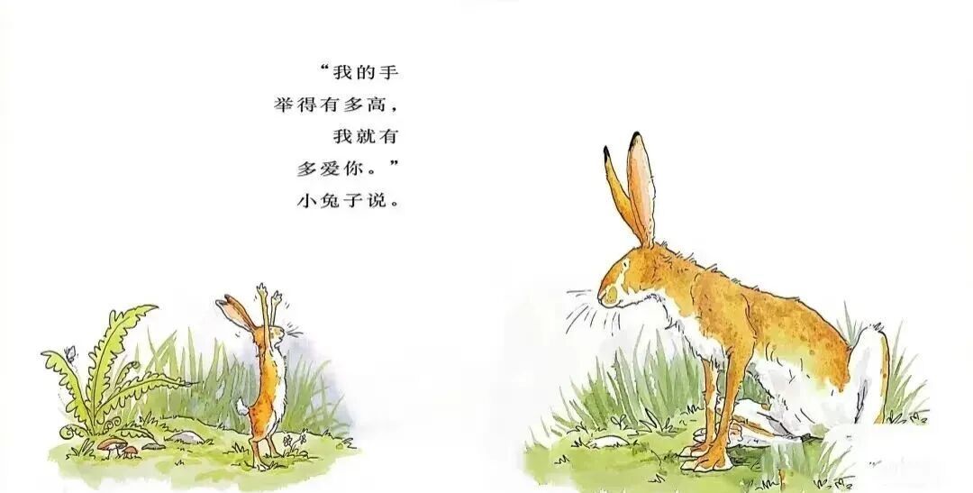 《猜猜我有多爱你》：用爱的语言跨越亲子距离