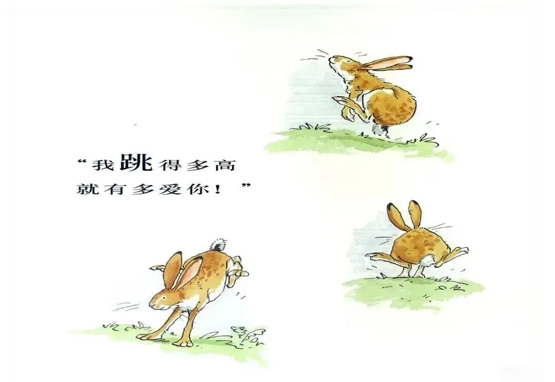 《猜猜我有多爱你》：用爱的语言跨越亲子距离