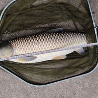 小众钓点被曝光，钓鱼人该开心还是烦恼？1000+用户观点大PK