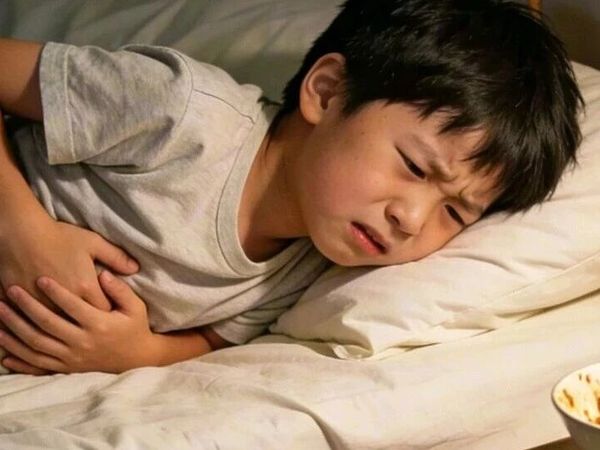 今日食育分享：为什么“虚”了，却“补不进去”？