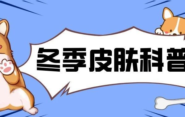 冬季“皮”一下很危险！犬猫皮肤问题冬季高发指南
