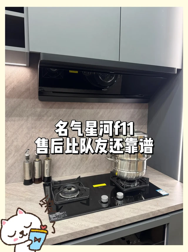 名气星河f11售后比队友还靠谱