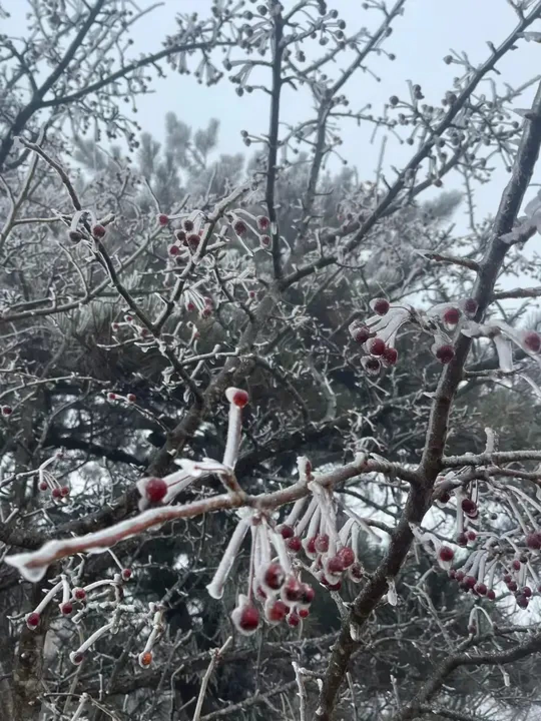 龙王山看雾凇:冬季户外装备穿搭全攻略