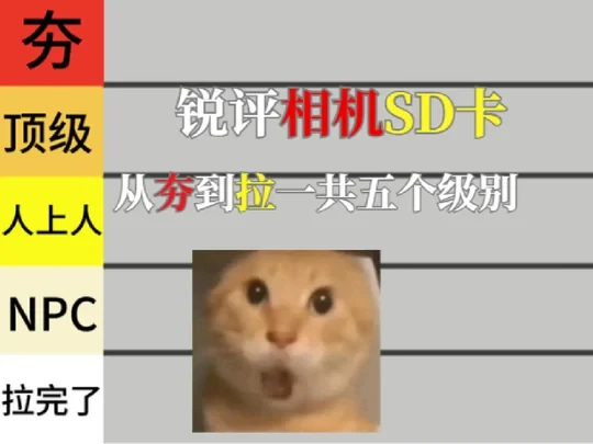 从夯到拉锐评一下sd卡