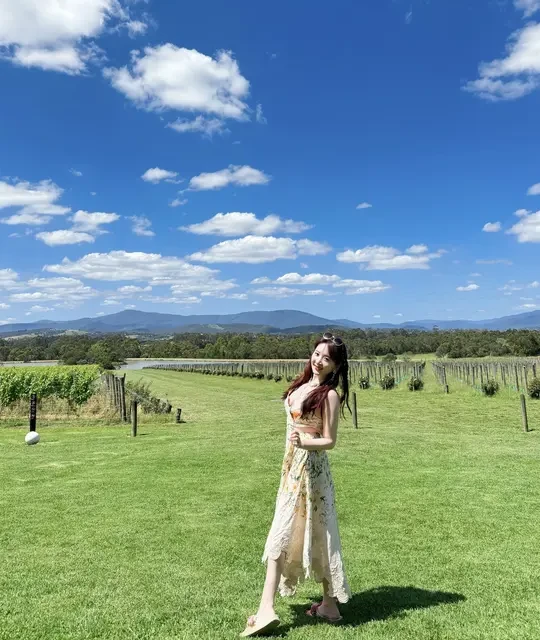 墨尔本Yarra Valley酒庄两日游实测体验