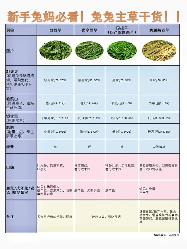 熬夜整理！新手兔妈必看！兔子干草投喂指南