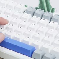 雷柏VT9 MAX鼠标+V700DIY-98长续航版客制化键盘：最强续航套装