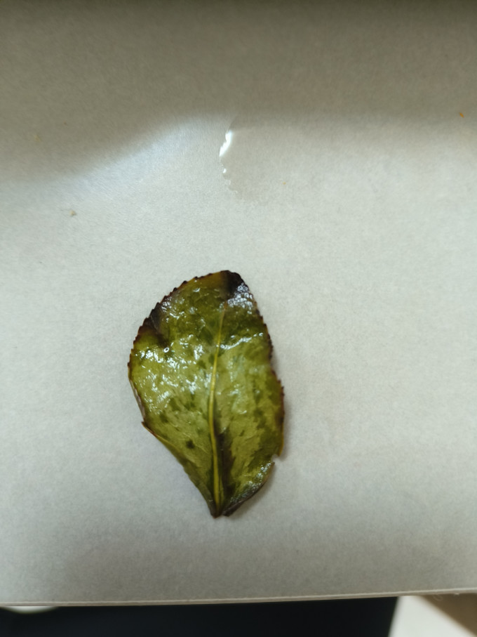 九鹏乌龙茶