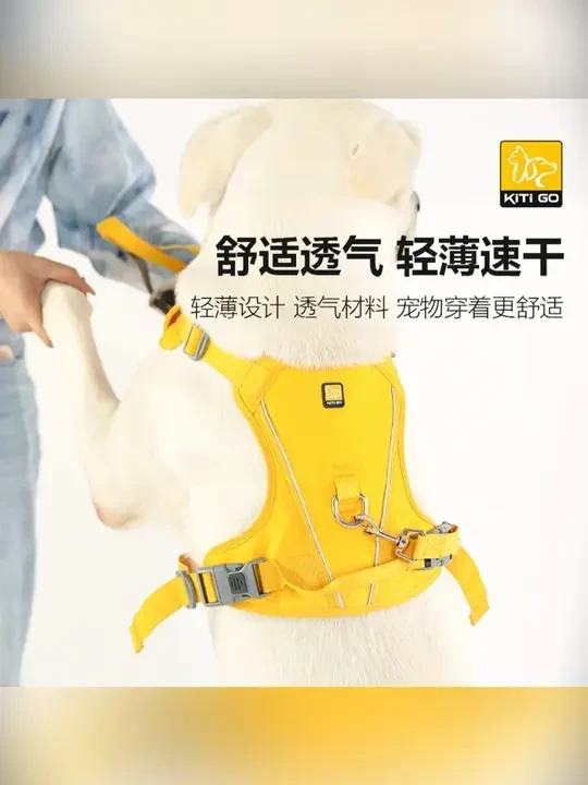 KiTi GO 狗狗牵引绳宠物胸背带 遛狗牵引绳冬季新款防爆冲胸背 N1#牵引绳 #狗狗牵引绳推荐 #新款牵引绳 #防爆牵引绳 #高级牵引绳