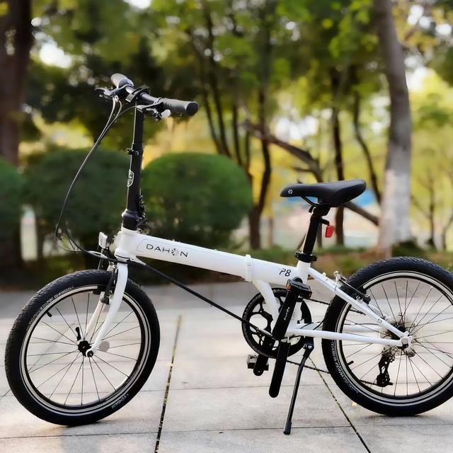 大行P8山姆特供版减配降价，还值得买吗？1200+用户观点大PK