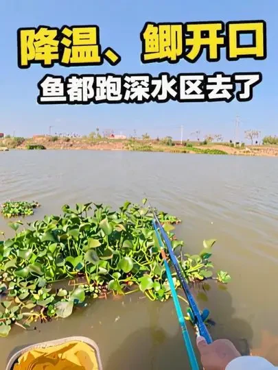 果然鱼都跑深水区去了#原来钓鱼才是抖音运动顶流 #户外钓鱼 #钓鱼技巧分享 #沃鼎王者神剑三代 #城市渔仓