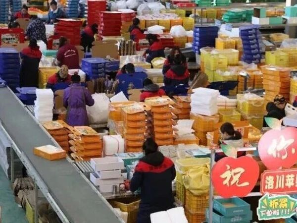 元旦果市C位诞生！洛川苹果“新三果”爆单，84万吨鲜果销往全国及海外