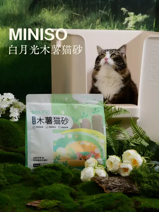 猫居无杂味，反而藏着温柔椰奶味！
