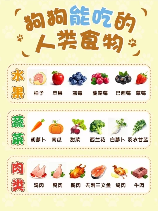 狗能吃柚子吗？人类食物别乱喂狗吃