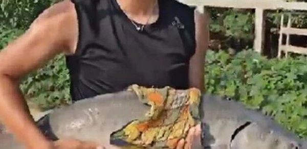 6款钓竿防手酸跑鱼，老手都换新了？