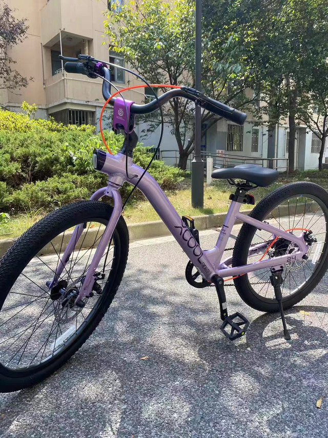 青少年上学骑行首选，光轮成长车