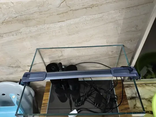 心累退坑，一整套特价出，几乎全新。
超白玻璃鱼缸:40×30×30(送缸垫)
水妖精仟锐DD-200A
吉印刀锋s鱼缸灯，36厘米双支架(适合36-45厘米鱼缸)
	
汕头自提，非常适合新手。#鱼缸爱